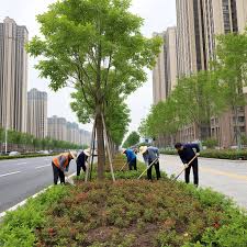 2026美加墨世界杯官网 嘉兴绿化资质取消了并入市政吗